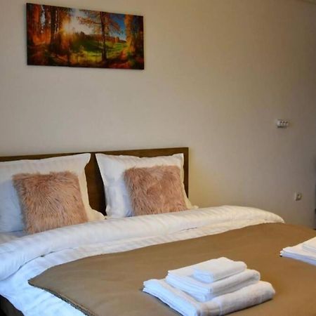 Pricop Residence Baia Mare Exterior foto